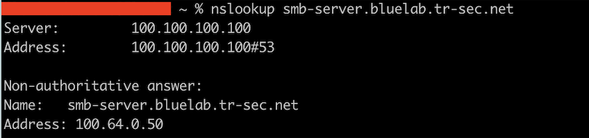 DNS resolution for the asset name DNS resolution for the asset name