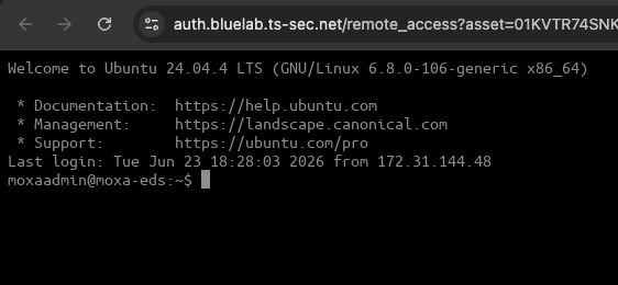 Remote Access browser session Remote Access browser session